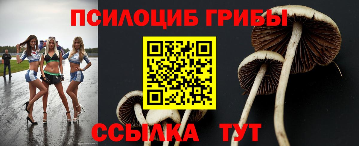 Галлюциногенные грибы мухоморы Обнинск